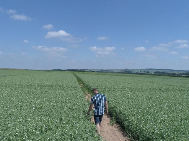volle Kontrolle - vom feld bis auf die Gabel